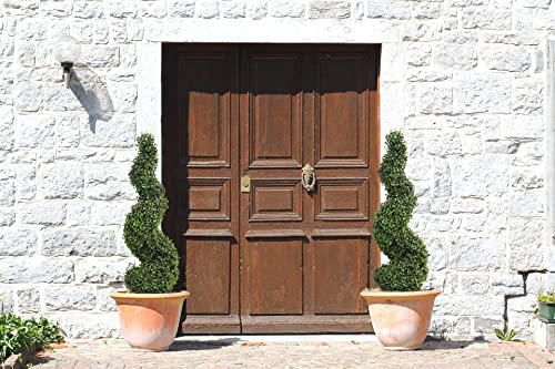 Product: MOMO Plant 35 Inch Artificial Boxwood Topiary Tree Spiral Plants Fake Faux Plant Decor in Plastic Pot Green Indoor or Outdoor, Set of 2