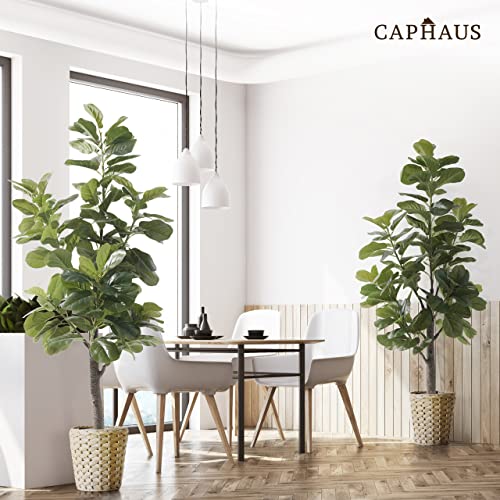 Product: CAPHAUS 6/7 Feet Artificial Fiddle Leaf Fig Tree in Pot - Perfect Faux Plant for Home, Office & Housewarming Gifts