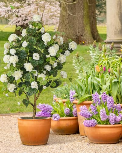 Product: Leflos 4.25ft Artificial Begonia Flower Tree, Faux Begonia Tree with 74 White Flowers, Fake Potted Blooming Floral Plant in White Pot Filled with Dry Moss for Home Indoor Decor