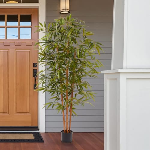 Silky Flower Store Pure Garden Artificial Bamboo Tree, 6FT Fake Plant, Adjustable Leaves, Pot, Indoor Faux Greenery 6.5in pot 6FT 1 1 Product: Artificial Bamboo Tree - 6FT Fake Plant with Adjustable Leaves and Pot - Faux Plants Indoor for Home, Restaurant, or Office Décor by Pure Garden