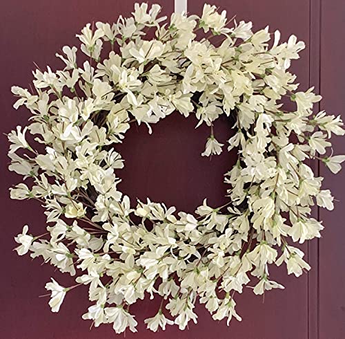 Silky Flower Store 24 Inch Forsythia Wreath, White Cream Artificial Spring Summer Front Door Decor, 24 Inch 5 5 Product: Summer Wreath for Front Door, 24 Inch White Cream Forsythia Summer Spring Wreath Blossom Cluster Flower Farmhouse on Grapevine for Christmas Festival Celebration Front Door Wall Window Hanging Décor
