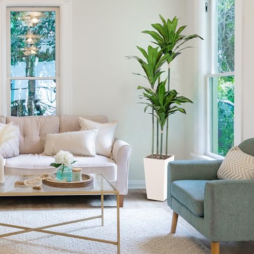 Product: Artificial Dracaena Tree, 5FT Faux Tree with White Tall Planter, Fake Dracaena Plants Tropical Yucca Floor Plant in Pot, Artificial Silk Tree for Home Decor Office Living Room Indoor Housewarming Gift