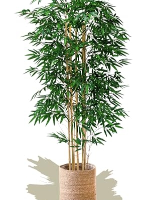 Silky Flower Store Artificial Bamboo Tree Plant, Faux Indoor Floor Plant, House Office Home Décor, 71in 12 12 Product: Maia Shop 71in Artificial Bamboo Tree Plant for House, Apartment or Office – Realistic Fake Indoor Plants for Living Room, Bedroom, Bathroom, Entryway or Patio – Faux Greenery for Home Décor