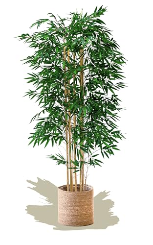 Silky Flower Store Artificial Bamboo Tree Plant, Faux Indoor Floor Plant, House Office Home Décor, 71in 3 3 Product: Maia Shop 71in Artificial Bamboo Tree Plant for House, Apartment or Office – Realistic Fake Indoor Plants for Living Room, Bedroom, Bathroom, Entryway or Patio – Faux Greenery for Home Décor