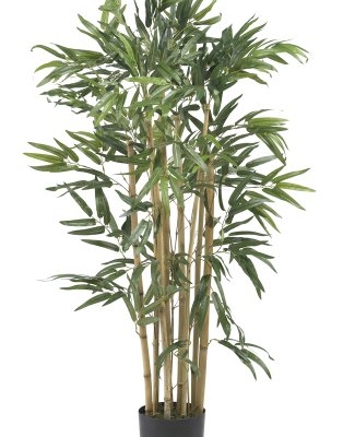 Product: Nearly Natural 3ft. Multi Bambusa Bamboo Silk Tree