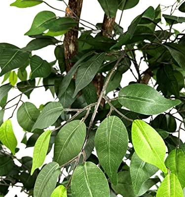 Product: Cypress & Alabaster Handmade 6.5ft 3-Tier Ficus Artificial Tree with Ethically Sourced Real Wood Trunks, Hypoallergenic, 6.5-Foot, Green