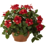 Product: Nearly Natural Hibiscus with Clay Planter