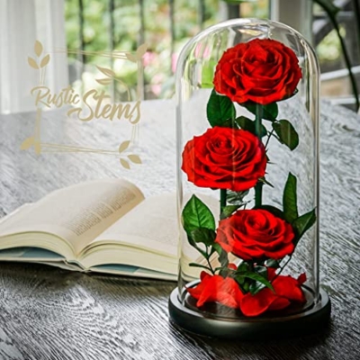 Silky Flower Store Preserved Real Rose Glass Dome, Rustic Stems Eternal Flower Gift, Luxury Decorative Floral Display 20.5cm 12 12 Product: RUSTIC STEMS Luxury Preserved Real Rose in Glass Dome - Eternal Flower Gift for Mom, Wife, Girlfriend | Perfect for Valentine's, Weddings, Birthdays & Christmas