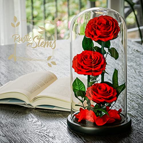 Silky Flower Store Preserved Real Rose Glass Dome, Rustic Stems Eternal Flower Gift, Luxury Decorative Floral Display 20.5cm 5 5 Product: RUSTIC STEMS Luxury Preserved Real Rose in Glass Dome - Eternal Flower Gift for Mom, Wife, Girlfriend | Perfect for Valentine's, Weddings, Birthdays & Christmas