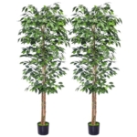 Product: HAIHONG 2Packs 6FT Artificial Ficus Trees with Realistic Leaves and Natural Trunk, Faux Ficus Tree with Sturdy Plastic Nursery Pot, Fake Ficus Tree for Office Home Farmhouse for Indoor Outdoor Decor