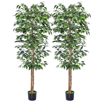Product: HAIHONG 2Packs 6FT Artificial Ficus Trees with Realistic Leaves and Natural Trunk, Faux Ficus Tree with Sturdy Plastic Nursery Pot, Fake Ficus Tree for Office Home Farmhouse for Indoor Outdoor Decor