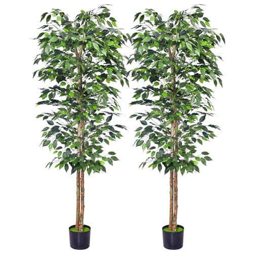 Product: HAIHONG 2Packs 6FT Artificial Ficus Trees with Realistic Leaves and Natural Trunk, Faux Ficus Tree with Sturdy Plastic Nursery Pot, Fake Ficus Tree for Office Home Farmhouse for Indoor Outdoor Decor