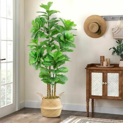 Product: 6FT Artificial Fiddle Leaf Fig Tree with Realistic Branch Leaves and Moss, Large Faux Ficus Lyrata Tree in Potted, 71 in Fake Tall Artificial Plants indoor for Décor at Home Living Room Office, 2 Pack