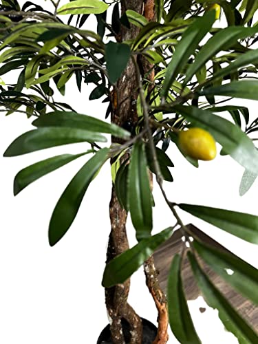 Silky Flower Store Artificial Mediterranean Olive Tree, Cypress & Alabaster Handmade Real Wood Trunks, Hypoallergenic Green, 6.5ft 6 6 Product: Cypress & Alabaster Handmade 6.5ft Mediterranean Olive Artificial Tree with Ethically Sourced Real Wood Trunks, Hypoallergenic, 6.5-Foot, Green