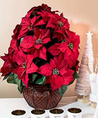 Silky Flower Store Nearly Natural Poinsettia Silk Arrangement, Decorative Planter, Faux Holiday Floral Centerpiece, 35 x 12 x 12 10 10 Product: Nearly Natural 1265 22in. Poinsettia with Decorative Planter Silk Arrangement 35" x 12" x 12"