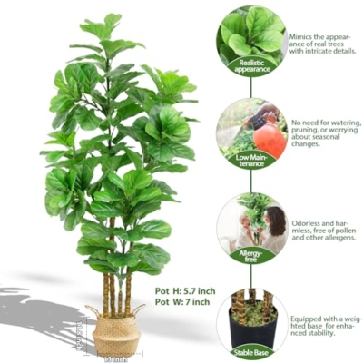 Product: 6FT Artificial Fiddle Leaf Fig Tree with Realistic Branch Leaves and Moss, Large Faux Ficus Lyrata Tree in Potted, 71 in Fake Tall Artificial Plants indoor for Décor at Home Living Room Office, 2 Pack