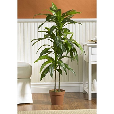 Product: Nearly Natural 48in. Dracaena Silk (Real Touch) Artificial Plant, 48", Green 5357 4ft. Golden Cane Palm Tree,Green