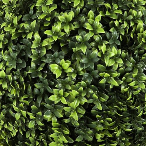 Product: Bornbridge Artificial English Boxwood Topiary Ball Tree - 4' English Boxwood Ball Tree - Indoor/Outdoor Topiary Trees - Artificial Outdoor Plants - Lifelike English Boxwood Plant (2 Pack)
