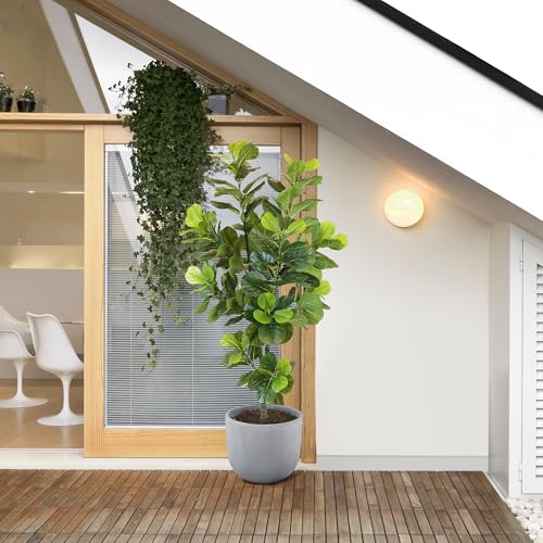 Product: KOL 6.2ft 2-Pack Artificial Fiddle Leaf Fig Trees, 74.8’’ Tall Fake Ficus Lyrata Plants, Faux Greenery for Home, Office, Living Room, Indoor & Outdoor Decoration, Housewarming Gift