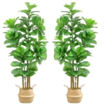 Product: 6FT Artificial Fiddle Leaf Fig Tree with Realistic Branch Leaves and Moss, Large Faux Ficus Lyrata Tree in Potted, 71 in Fake Tall Artificial Plants indoor for Décor at Home Living Room Office, 2 Pack