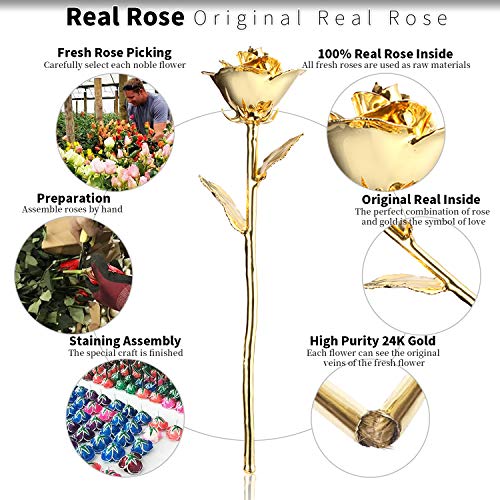 Product: MAXSPT 24K Golden Rose, Gold Dipped Rose Made from Real Rose Best Gifts for her and Great Gifts for My Wife, Golden with Stand
