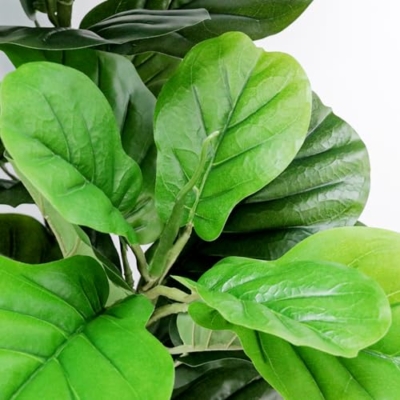 Product: ROOMTEC 6ft Artificial Fiddle Leaf Fig Tree in Pot Faux Fiddle Leaf Fig Tree Large Artificial Tree for Indoor Outdoor House Living Room Office Modern Decoration