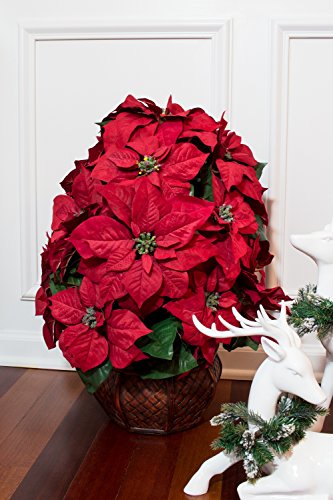 Silky Flower Store Nearly Natural Poinsettia Silk Arrangement, Decorative Planter, Faux Holiday Floral Centerpiece, 35 x 12 x 12 4 4 Product: Nearly Natural 1265 22in. Poinsettia with Decorative Planter Silk Arrangement 35" x 12" x 12"