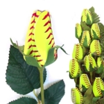 Product: Softball Rose (Pack of 12) - Handmade with Authentic Premium Softball Covers, Original Design by Sports Roses