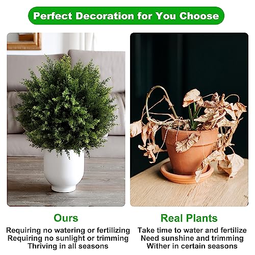 Product: AUMMOOH Boxwood Artificial Cedar Topiary Ball Trees – Decorative Fake Greenery in Planter Pots for Front Porch, Outdoor Walkway, Entryway Decorating, Set of 2