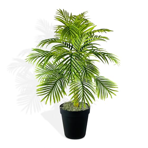 LCG Florals- 40 inch Palm Tree in Black Plastic Pot – Natural, Lifelike Foliage & Stems – Faux Indoor Tree - Fake House Plant for Indoors and Outdoors - Artificial Flower Arrangements Product: LCG Florals- 40 inch Palm Tree in Black Plastic Pot – Natural, Lifelike Foliage & Stems – Faux Indoor Tree - Fake House Plant for Indoors and Outdoors