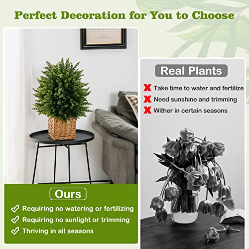 Product: Goplus 21.5” Artificial Cedar Topiary Ball Tree, Set of 2 Faux Potted Plants Artificial Shrubs Bushes with Cement Pot, Fake Evergreen Artificial Topiary for Indoor Outdoor Home Front Porch Decor