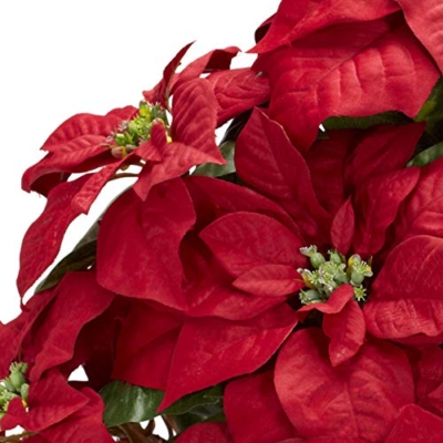 Silky Flower Store Nearly Natural Poinsettia Silk Arrangement, Decorative Planter, Faux Holiday Floral Centerpiece, 35 x 12 x 12 8 8 Product: Nearly Natural 1265 22in. Poinsettia with Decorative Planter Silk Arrangement 35" x 12" x 12"