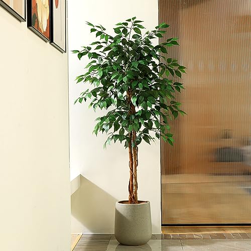 Product: SOGUYI 5ft Artificial Ficus Tree with Natural Wood Trunk, Silk Fake Ficus Tree in Plastic Nursery Pot, Faux Plant for Office Home, Indoor Outdoor Decor, 1 Pack