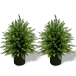 Product: WAYNHUI Artificial Cedar Topiary Ball Tree, 21.5” 2pack Faux Potted Plants Artificial Shrubs Bushes with Cement Pot, Fake Evergreen Artificial Topiary for Indoor Outdoor Home Front Porch Decor