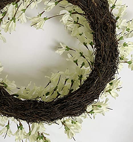 Silky Flower Store 24 Inch Forsythia Wreath, White Cream Artificial Spring Summer Front Door Decor, 24 Inch 2 2 Product: Summer Wreath for Front Door, 24 Inch White Cream Forsythia Summer Spring Wreath Blossom Cluster Flower Farmhouse on Grapevine for Christmas Festival Celebration Front Door Wall Window Hanging Décor