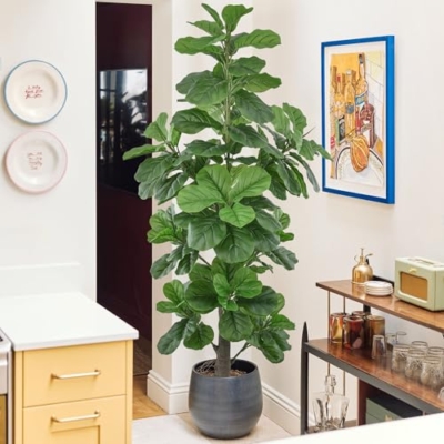 Product: Roselywed Artificial Fiddle Leaf Fig Tree 6FT with Realistic 148 Leaves 71 Inch Fake Ficus Lyrata Potted Plant for Indoor Outdoor Garden Landscaping Decor Housewarming Gift (6FT, 1Pack)