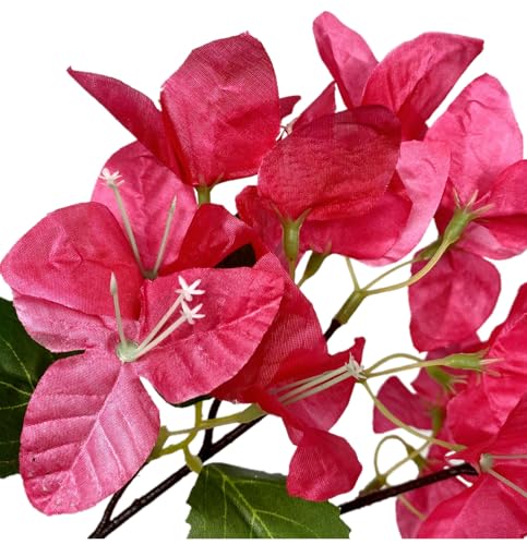 Silky Flower Store Artificial Bougainvillea Flower Stems, Silk Long Branches Fuchsia, Pack of 16, 31in 1 1 Product: haplous Pack of 16 - Artificial Bougainvillea Flower Stems Silk Bougainvillea Long Branches Full Blossoms for Home Wedding Table Centerpiece Shower Event Backdrop Indoor Outdoor Decorations (Fuchsia)