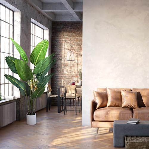 Silky Flower Store Bird of Paradise Artificial Plant, Fake Palm Tree, White Planter, Indoor Floor Decor, 5FT 2 2 Product: Jocoevol Bird of Paradise Artificial Plant, 5FT Fake Plant Palm with White Planter, Tall Artificial Floor Plants Indoor for Home Office Living Room Decor Housewarming Gift