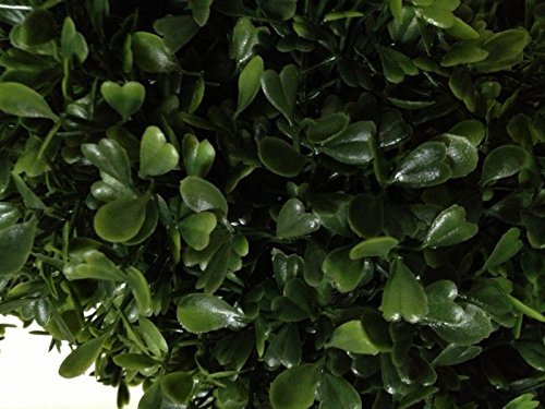 Product: Two 4 Foot Outdoor Artificial Boxwood Spiral Topiary Trees UV Rated Plants