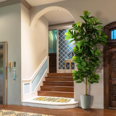 Silky Flower Store Artificial Fiddle Leaf Fig Tree, Ficus Lyrata Faux Plant, 7.3ft 13 13 Product: OXLLXO 7.3ft Artificial Fiddle Leaf Fig Tree (87in) with Plastic Nursery Pot Faux Tree, Ficus Lyrata Fake Plant for Office House Farmhouse Living Room Home Decor (Indoor/Outdoor)