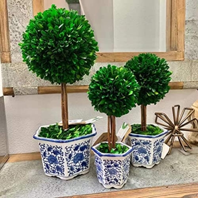 Product: Galt International Preserved Boxwood Topiary Tree in Blue & White Ceramic Pot - Plant and Table Centerpiece Stunning Greenery and Plant Decor for Home 5.9" Diameter Topiary 14" Tall