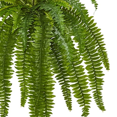 Product: Nearly Natural 35" Boston Fern (Set of 2) Silk Plants + 4ft. Golden Cane Palm Tree