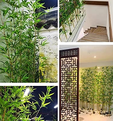 Silky Flower Store Extra Tall Artificial Bamboo Trees with Bamboo Trunks, Stems and Leaves, Pack of 10, 2m 17 17 Product: 3ft 4ft 5ft 6ft 6.5ft 7ft Extra Tall Artificial Bamboo Plants Trees with Bamboo Trunks, Stems and Leaves - Fake Bamboo Silk Faux Tree Garden Fence Privacy Screen DIY Decor Outdoor Indoor(Pack of 10,2m