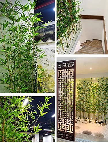 Silky Flower Store Extra Tall Artificial Bamboo Trees with Bamboo Trunks, Stems and Leaves, Pack of 10, 2m 8 8 Product: 3ft 4ft 5ft 6ft 6.5ft 7ft Extra Tall Artificial Bamboo Plants Trees with Bamboo Trunks, Stems and Leaves - Fake Bamboo Silk Faux Tree Garden Fence Privacy Screen DIY Decor Outdoor Indoor(Pack of 10,2m