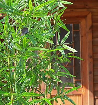 Product: Outdoor Artificial Bamboo Tree 3 4 5 ft 6 6.5 7 foot Tall, Fake Bamboo Silk Faux Tree Plant with Leaves for Garden Fence Privacy Decor Screen Courtyard Entrance ( Color : 10 Bamboo , Size : 1.8m/5.9ft