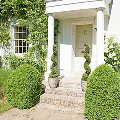 Product: 2x Artificial Spiral Boxwood Topiary Trees | Realistic Artificial Design | UV Protected for Outdoor Use | Indoor and Outdoor Use | Elegant Decoration (4ft/120cm)