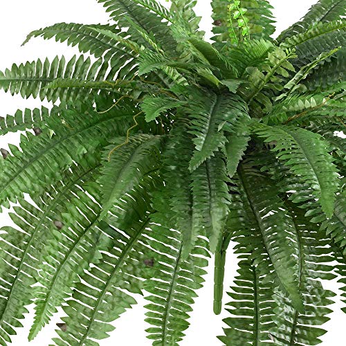 Product: Nearly Natural Potted or Hanging Artificial Boston Fern | Fake Plant, Green, 48 Inch, Set of 2 & 5357 4ft. Golden Cane Palm Tree,Green