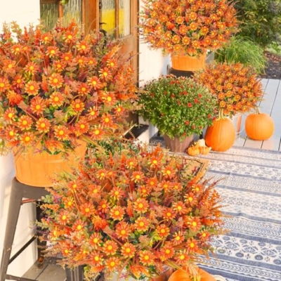 Silky Flower Store UV Resistant Faux Fall Flowers, Autumn Orange Daisy Eucalyptus Lavender Greenery, Outdoor Porch Patio Decor, 64 Pcs সেট 12 12 Product: Ruidazon 64 Pcs Outdoor Fall Flowers UV Resistant Faux Fall Plants with Fall Daisy Eucalyptus Lavender Artificial Autumn Flowers Greenery for Outside Home Porch Patio Thanksgiving Decoration