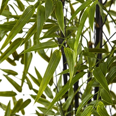 Product: Nearly Natural Black Bamboo Tree x 9 with 1470 Leaves UV Resistant (Indoor/Outdoor)