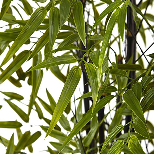 Product: Nearly Natural Black Bamboo Tree x 9 with 1470 Leaves UV Resistant (Indoor/Outdoor)